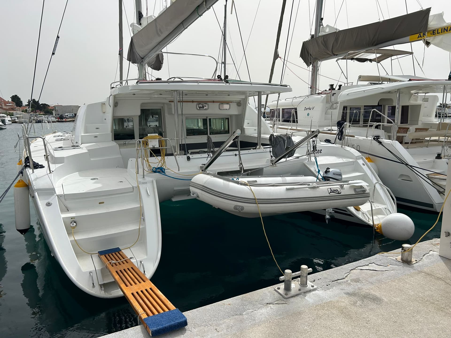 Manatee - Lagoon 440