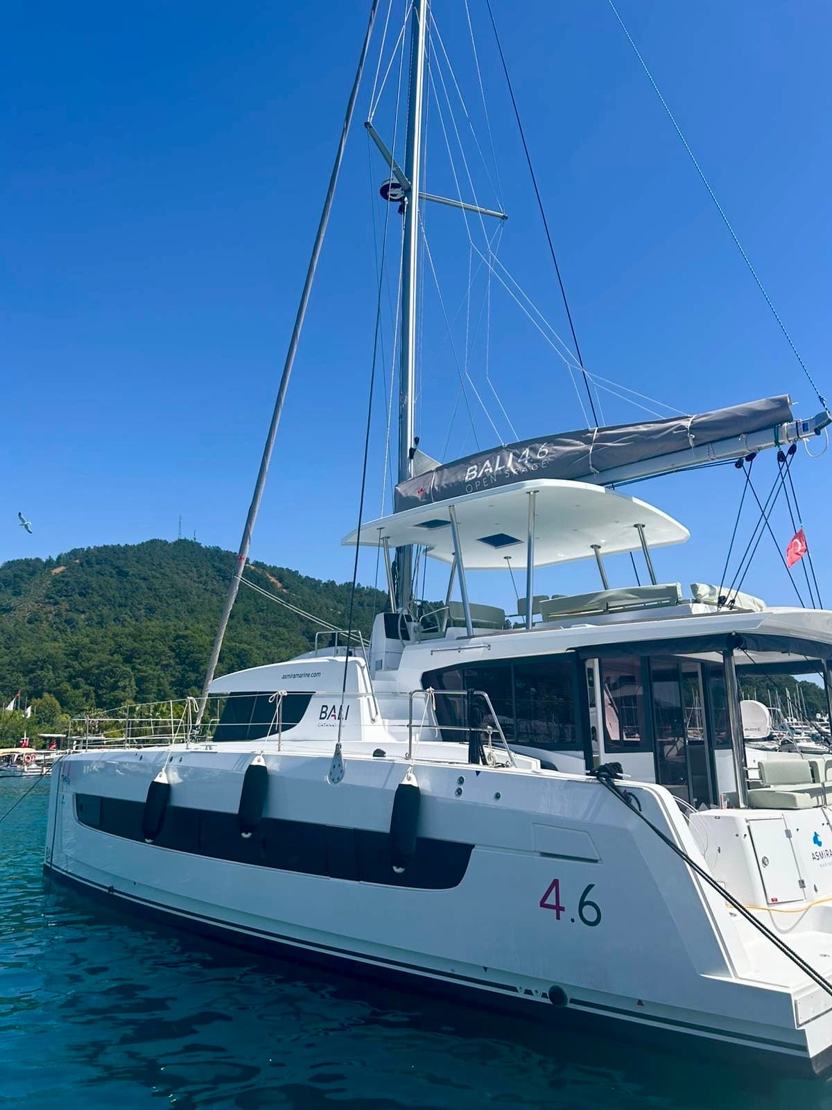 Amelia - Bali 4.6