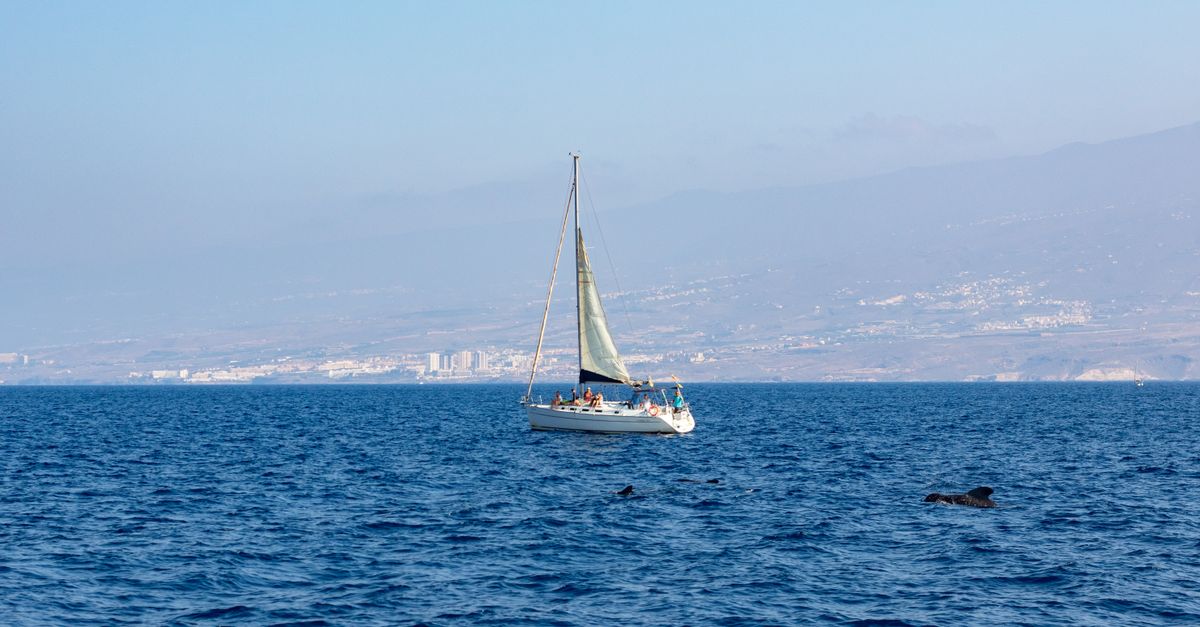 Yacht Charter Tenerife