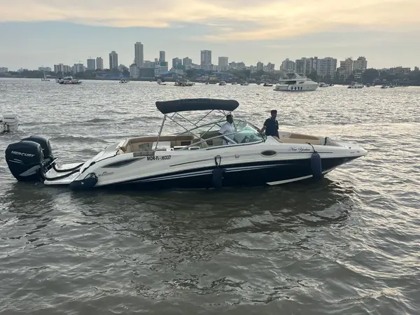 New Yorker - Sea Ray SDX 290