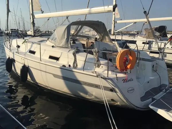 Kiwi - Bavaria 36