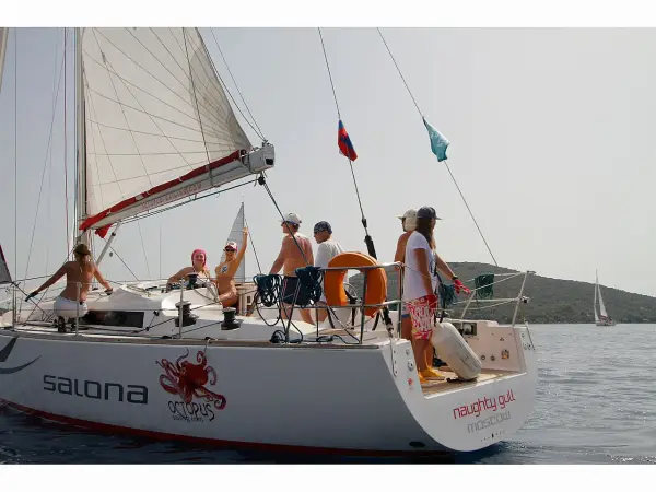 NAUGHTY GULL - Salona 41