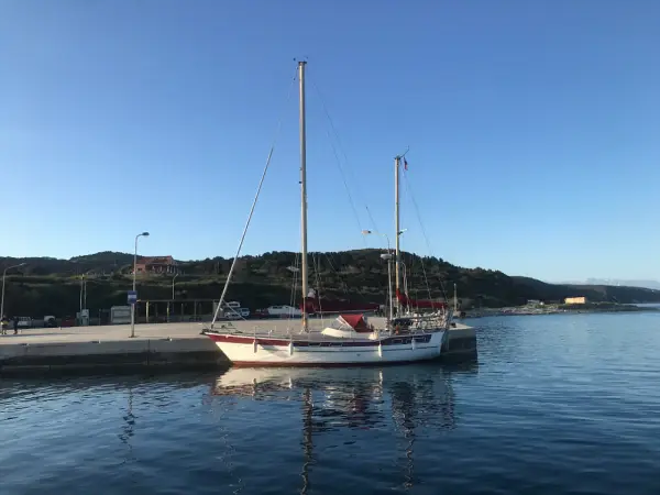Asterias - Amphitrite