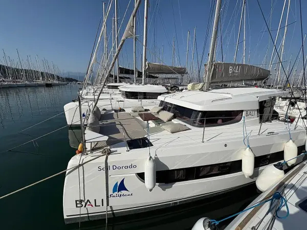 Sail Dorado - Bali Catsmart