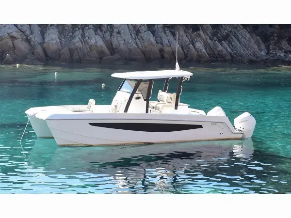 Eagle I - Aquila 28