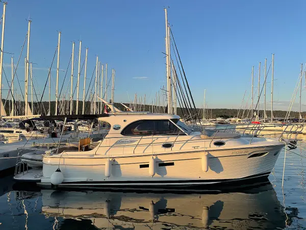 IRIS - Adriana 36