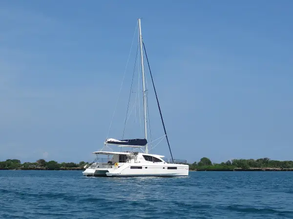 Premium - Leopard 48