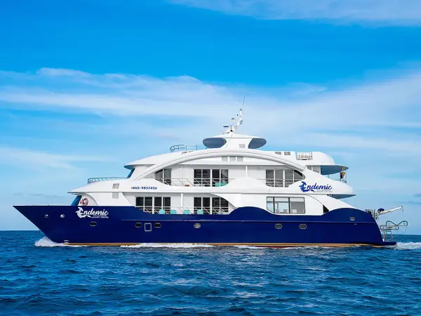 Endemic - Power Catamaran