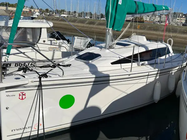 Alyzee - Maxus 26 Standard