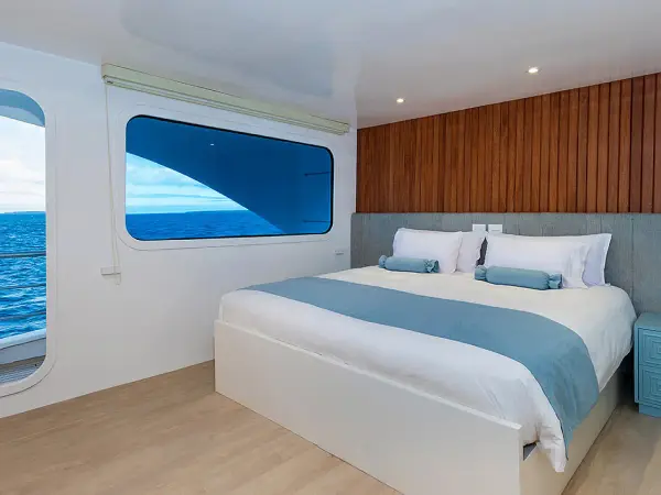 Ocean Spray - Cabin 3 - Power Catamaran