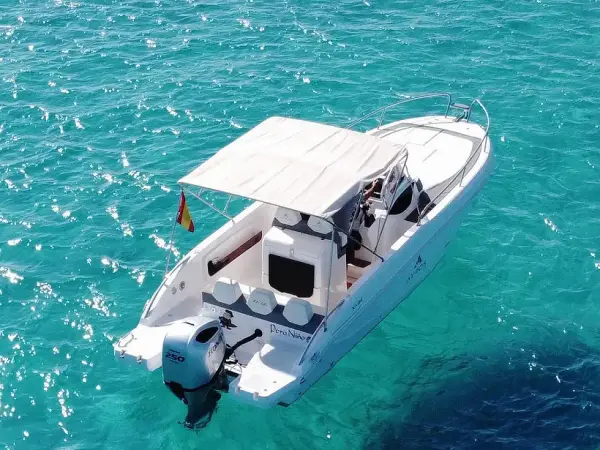 Comfort - Ayros 24