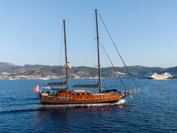 Capricorn 1 - Custom built 183