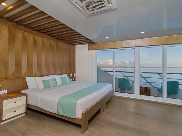 Endemic - Cabin 8 - Power Catamaran