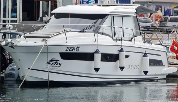Calypso - Merry Fisher 895