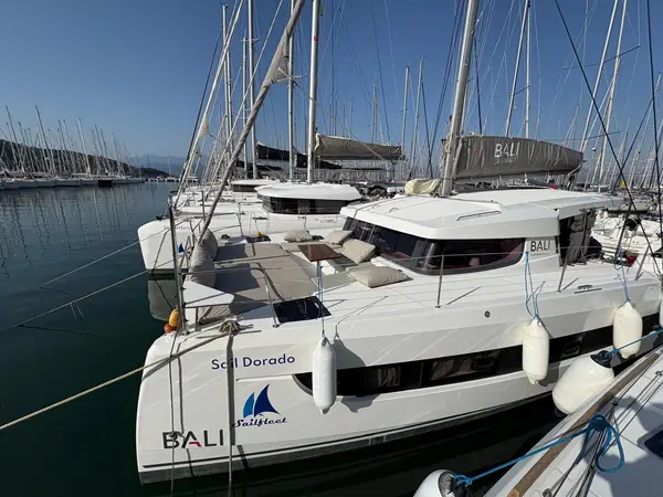 Sail Dorado - Bali Catsmart