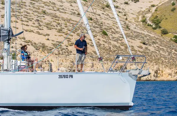 Amica - Dolphin 50