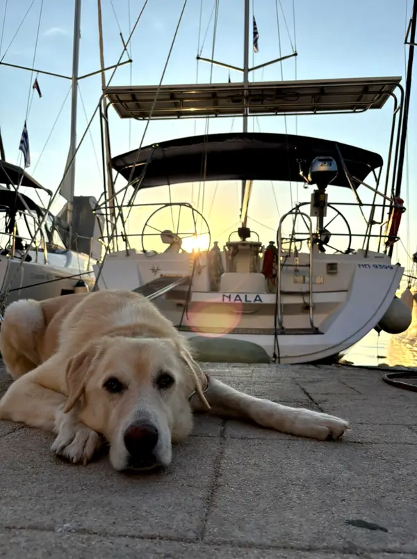 Nala - Sun Odyssey 45